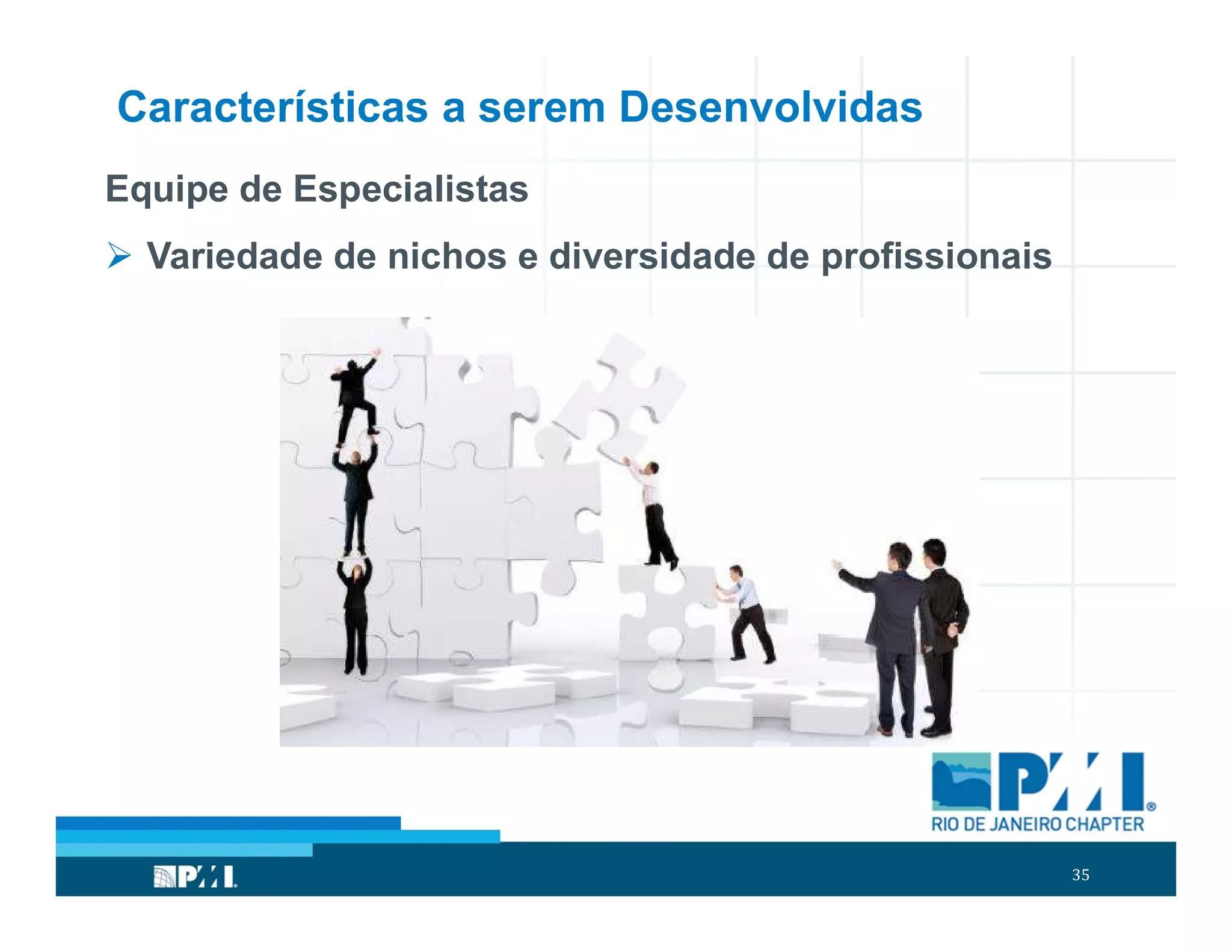 35
Características a serem Desenvolvidas
Equipe de Especialistas
 Variedade de nichos e diversidade de profissionais
 