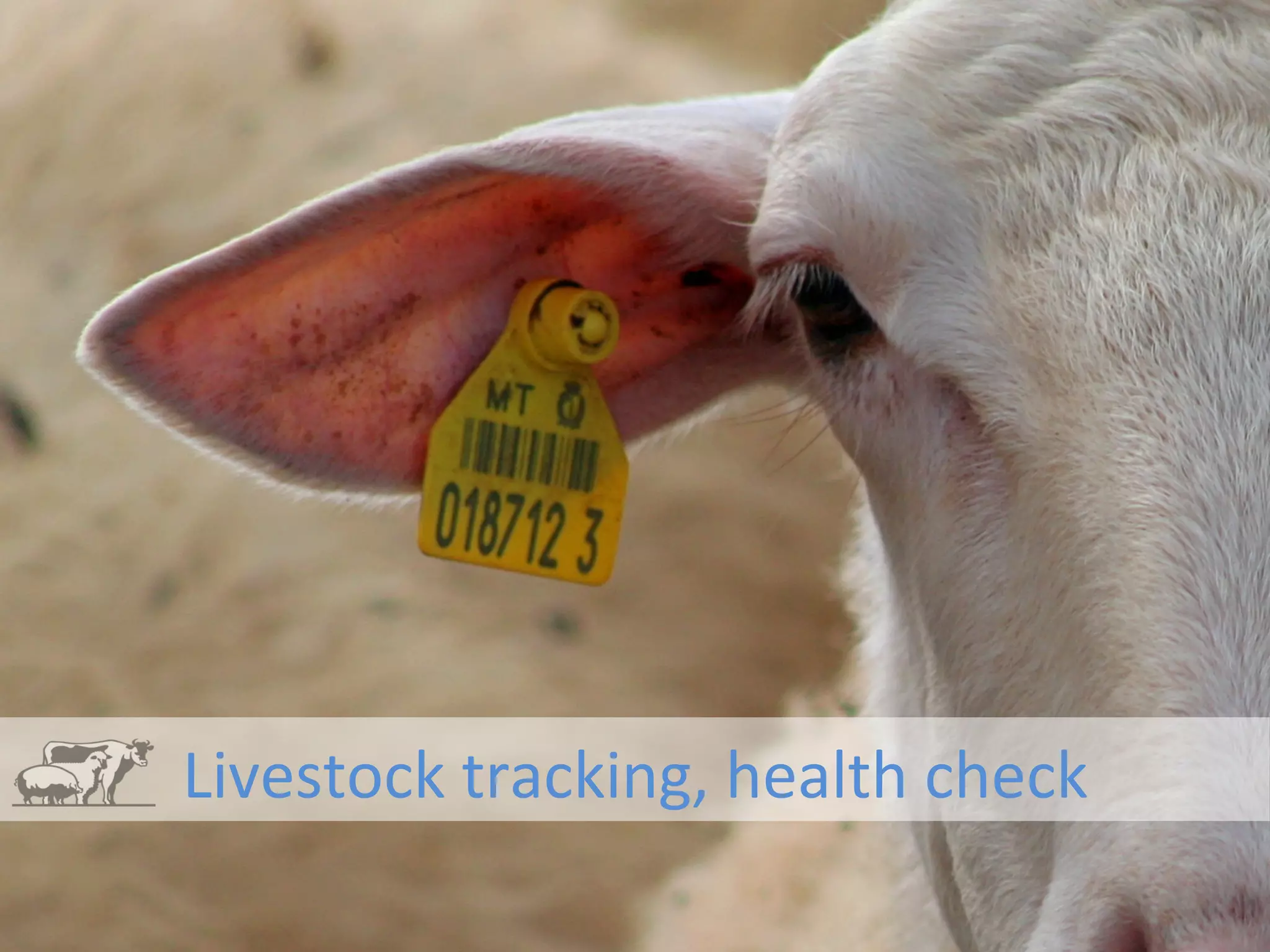 Livestock	
  tracking,	
  health	
  check	
  
 