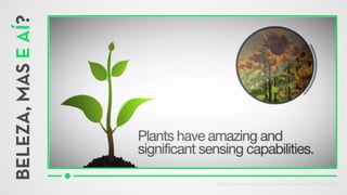 [IoT] Internet das Coisas - O despertar dos objetos