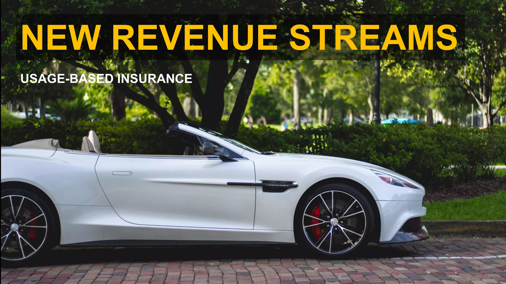 NEW REVENUE STREAMS
USAGE-BASED INSURANCE
 