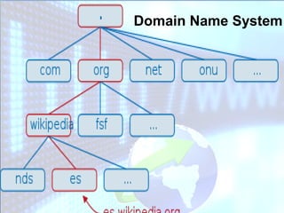 Domain Name System
 
