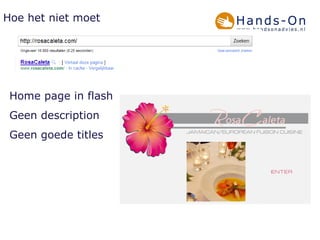 Home page in flash Geen description Geen goede titles Hoe het niet moet 