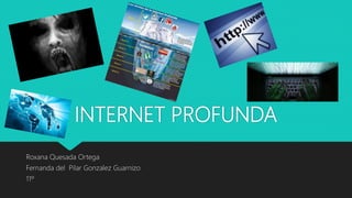 INTERNET PROFUNDA
Roxana Quesada Ortega
Fernanda del Pilar Gonzalez Guarnizo
11º
 