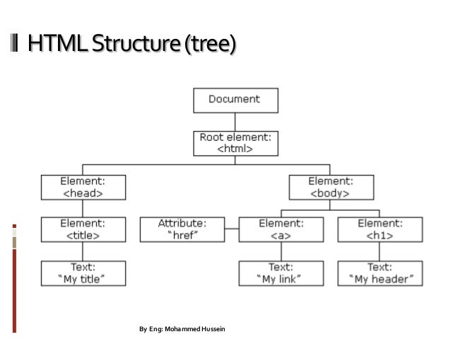 Internet programming lecture 1