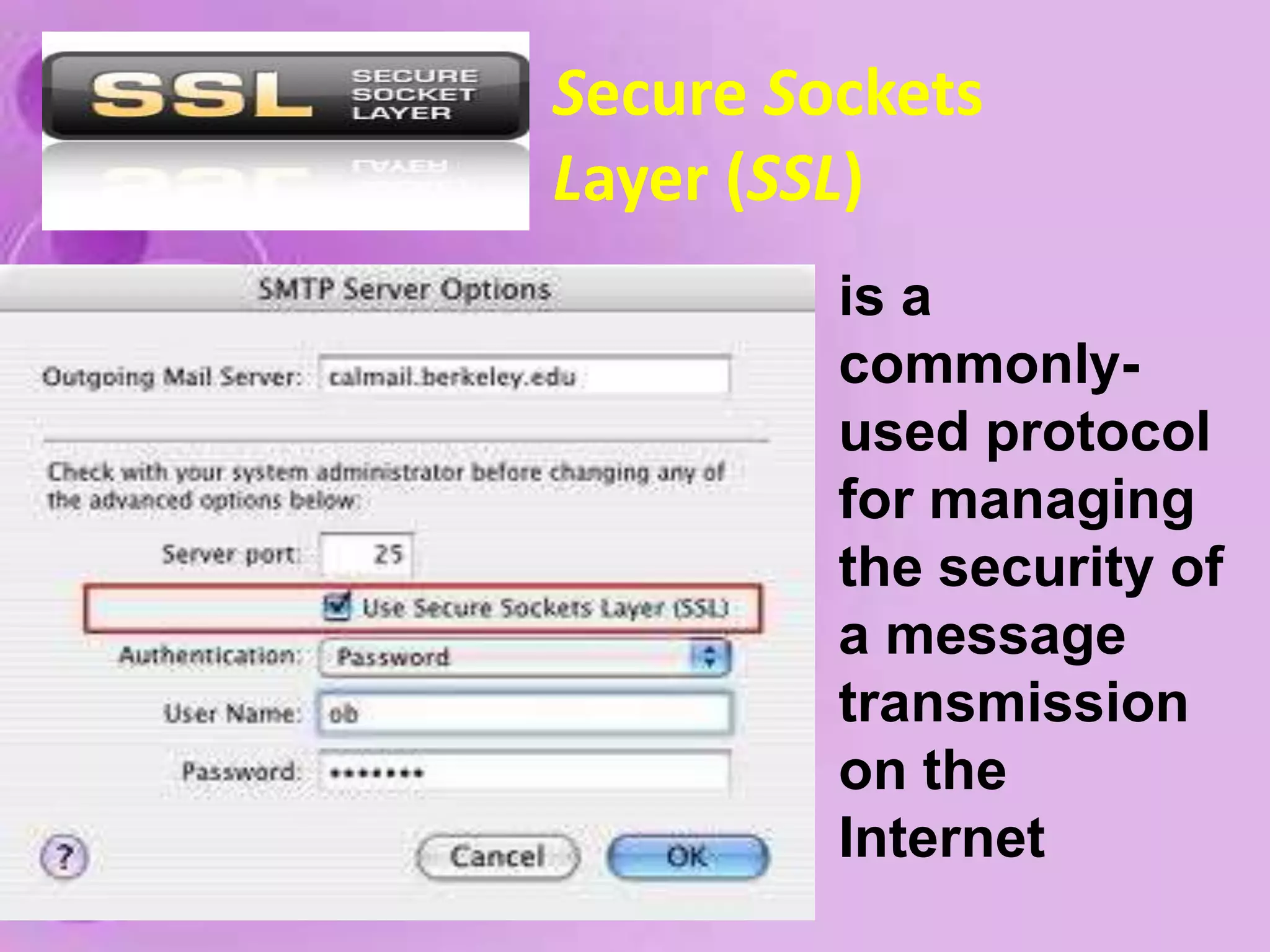 Lock disable or delete cookies