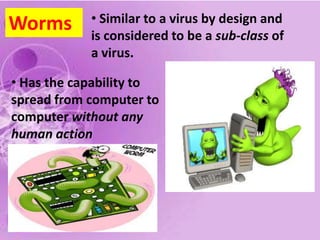 Malware (malicious software) : programs designed to infiltrate or damage our computer