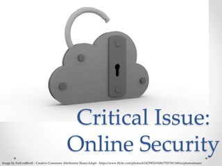 Critical Issue:
Online Security
Image by FutUndBeidl - Creative Commons Attribution Share/Adapt - https://www.flickr.com/photos/61423903@N06/7557181168/in/photostream/
 