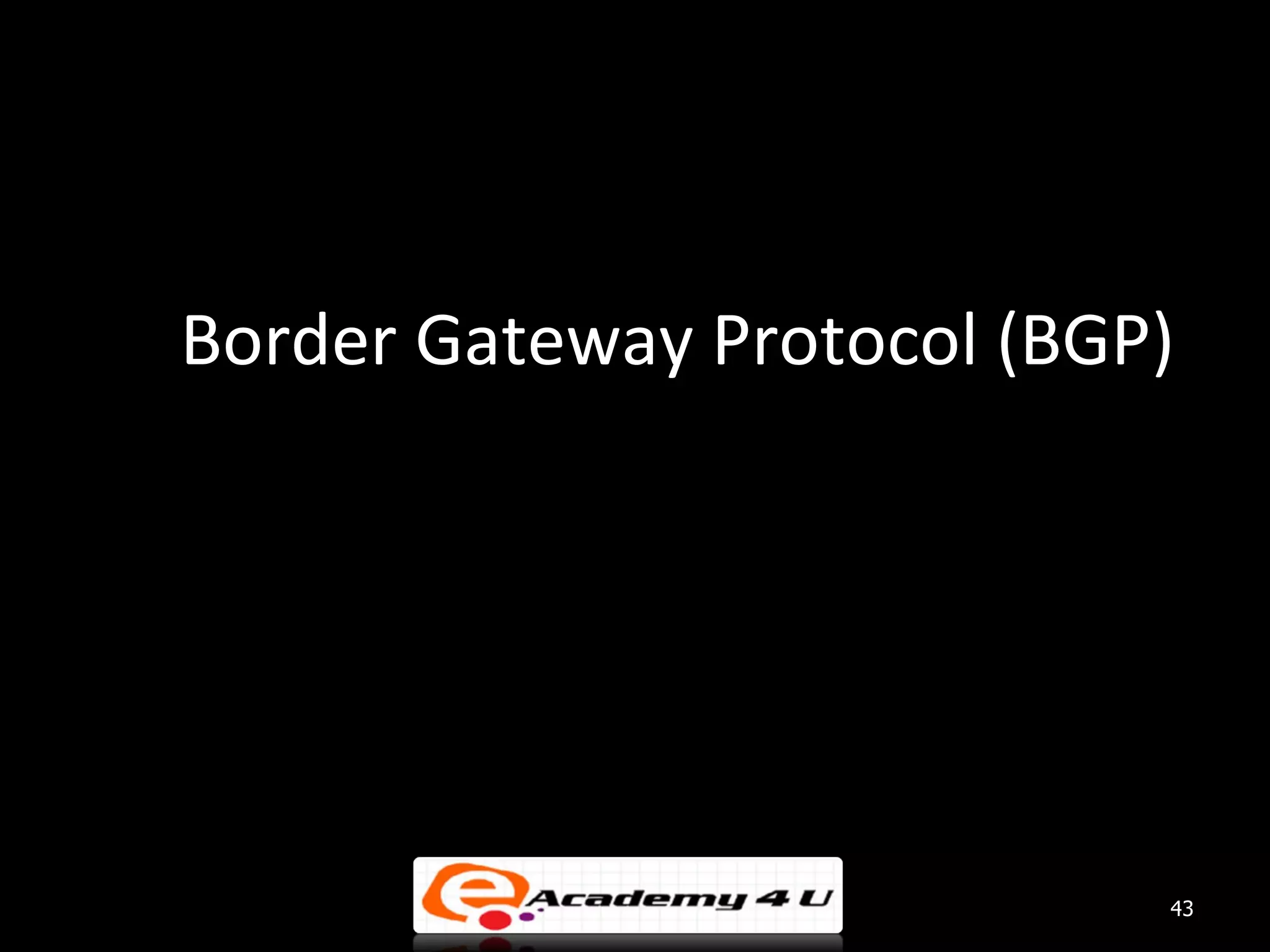 Border Gateway Protocol (BGP) 43 