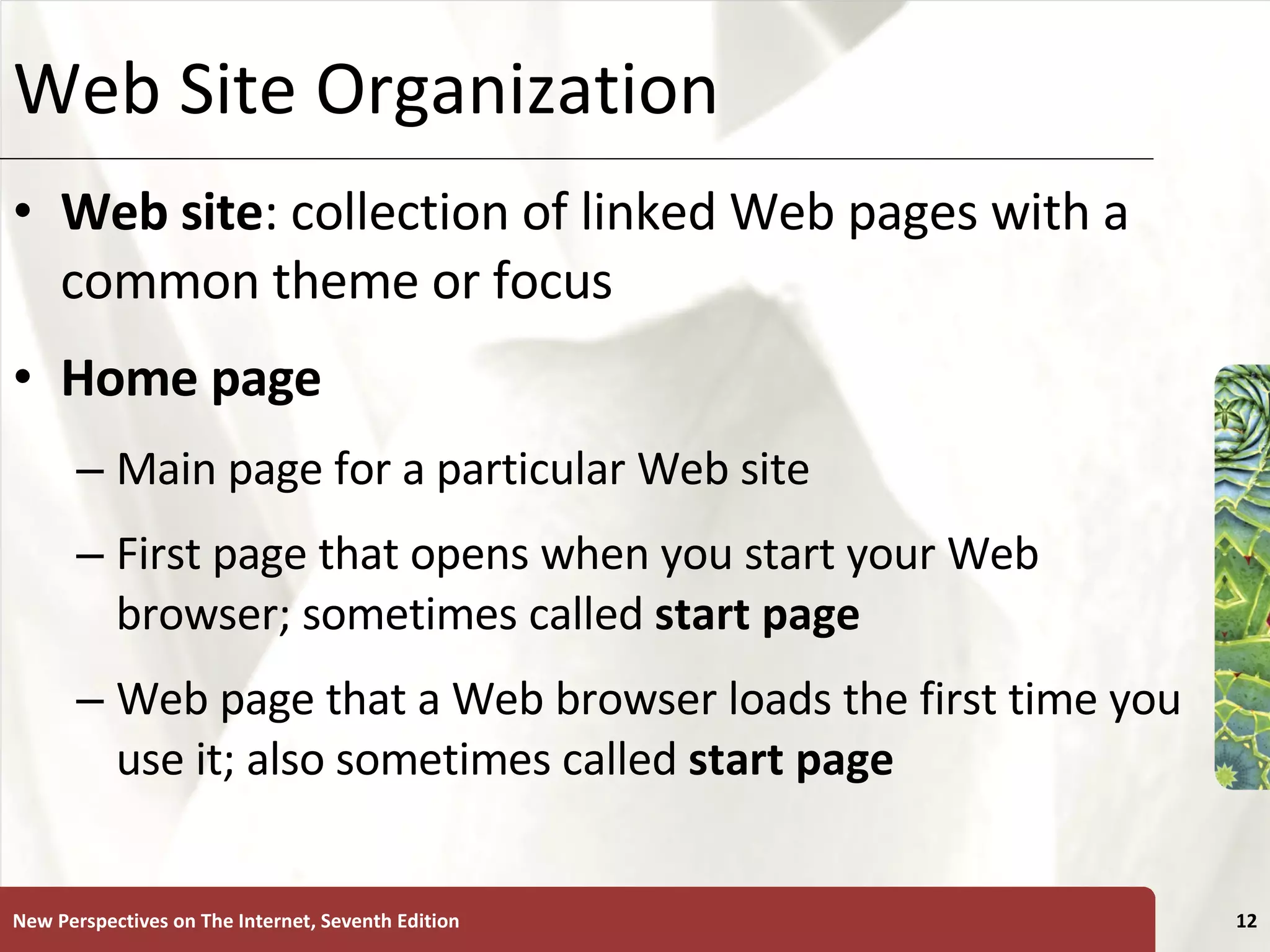 Web Site Organization Web site : collection of linked Web pages with a common theme or focus Home page   Main page for a particular Web site First page that opens when you start your Web browser; sometimes called  start page Web page that a Web browser loads the first time you use it; also sometimes called  start page New Perspectives on The Internet, Seventh Edition 