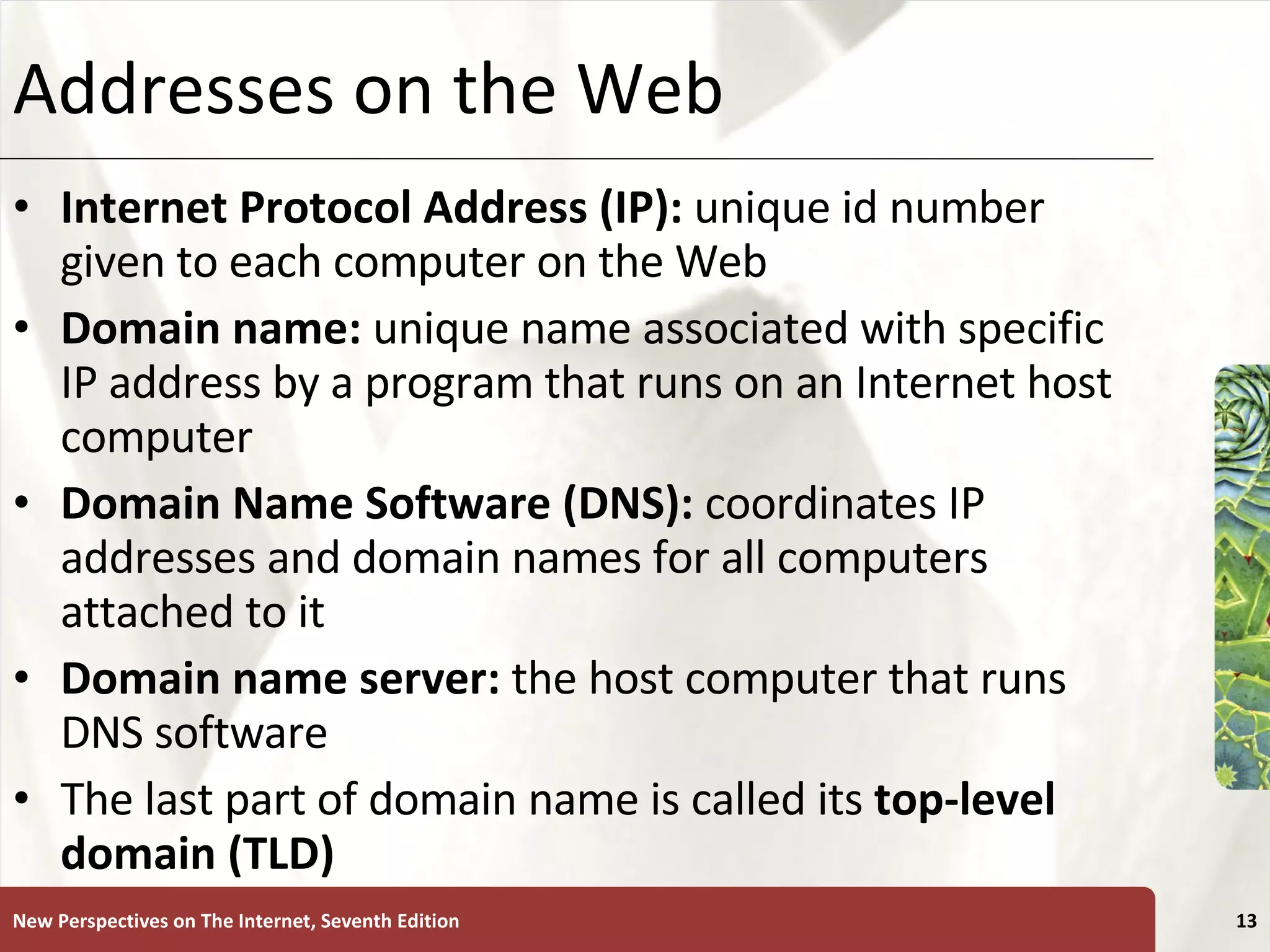 Addresses on the Web Internet Protocol Address (IP):  unique id number given to each computer on the Web Domain name:  unique name associated with specific IP address by a program that runs on an Internet host computer Domain Name Software (DNS):  coordinates IP addresses and domain names for all computers attached to it Domain name server:  the host computer that runs DNS software The last part of domain name is called its  top-level domain (TLD) New Perspectives on The Internet, Seventh Edition 