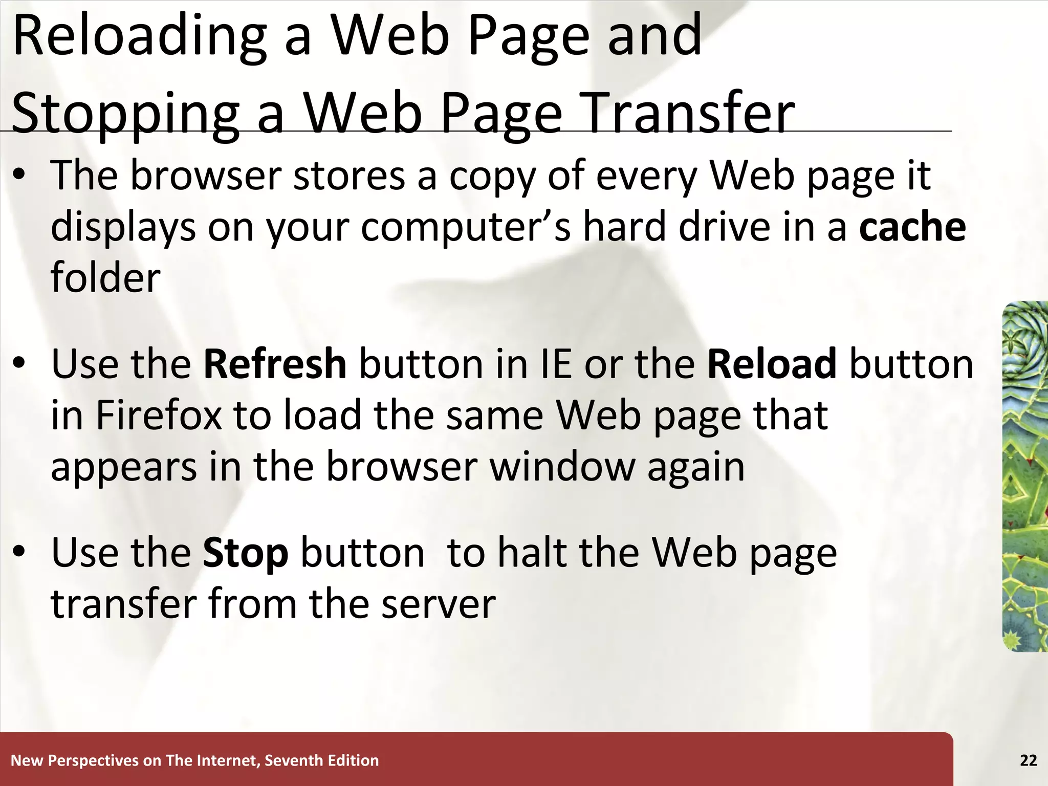 Reloading a Web Page and Stopping a Web Page Transfer The browser stores a copy of every Web page it displays on your computer’s hard drive in a  cache  folder Use the  Refresh  button in IE or the  Reload  button in Firefox to load the same Web page that appears in the browser window again Use the  Stop   button  to halt the Web page transfer from the server New Perspectives on The Internet, Seventh Edition 