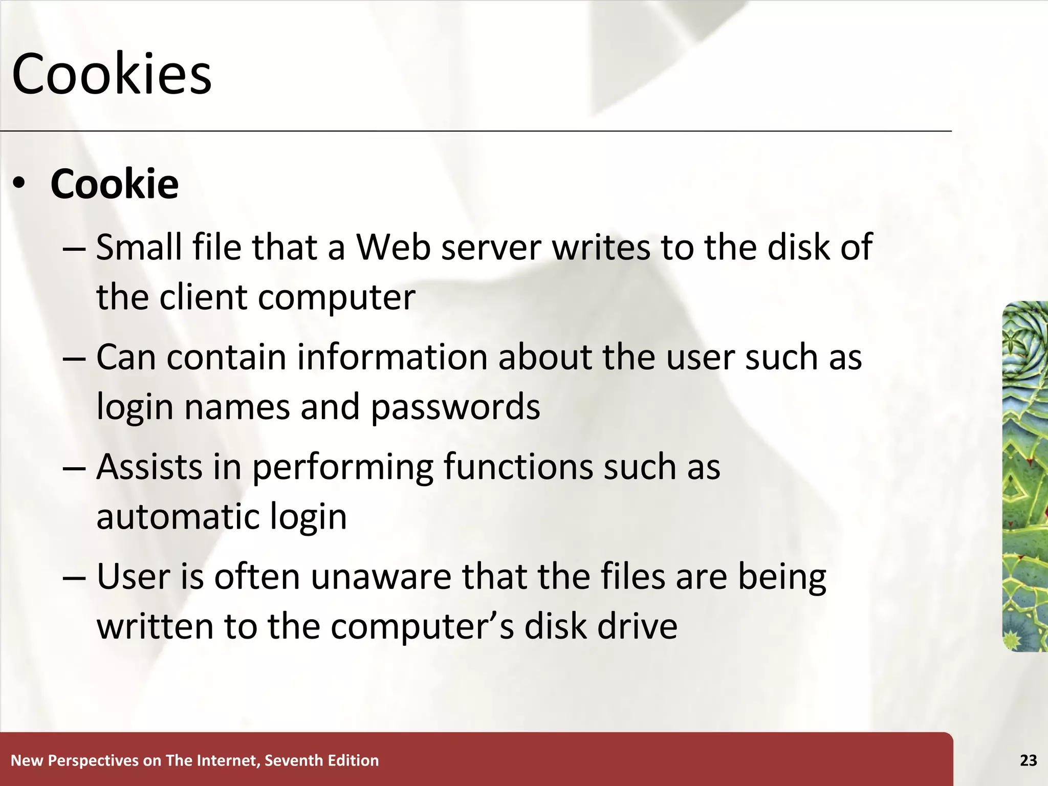 Cookies Cookie Small file that a Web server writes to the disk of the client computer Can contain information about the user such as login names and passwords Assists in performing functions such as automatic login User is often unaware that the files are being written to the computer’s disk drive New Perspectives on The Internet, Seventh Edition 
