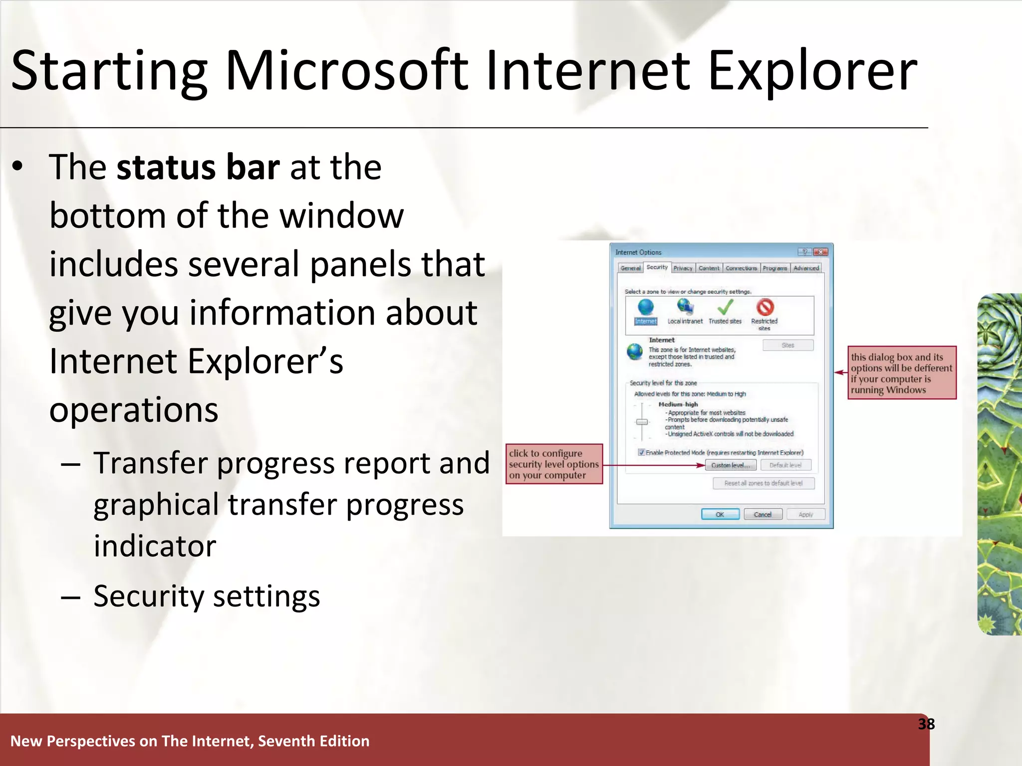 Starting Microsoft Internet Explorer The  status bar  at the bottom of the window includes several panels that give you information about Internet Explorer’s operations Transfer progress report and graphical transfer progress indicator Security settings New Perspectives on The Internet, Seventh Edition 