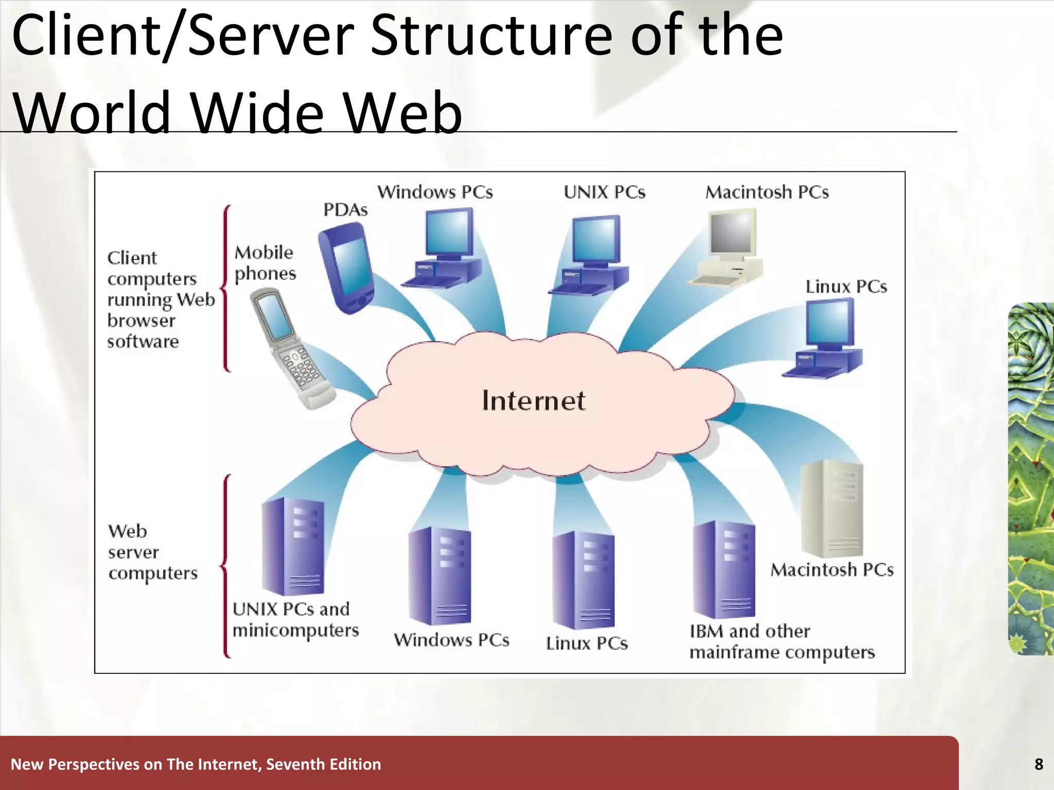 Client/Server Structure of the World Wide Web New Perspectives on The Internet, Seventh Edition 