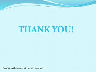 THANK YOU!
Credits to the owner of the pictures used.