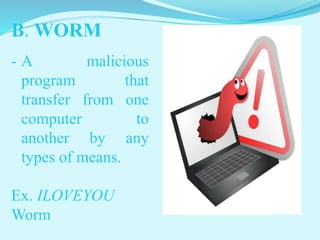 B. WORM
- A malicious
program that
transfer from one
computer to
another by any
types of means.
Ex. ILOVEYOU
Worm