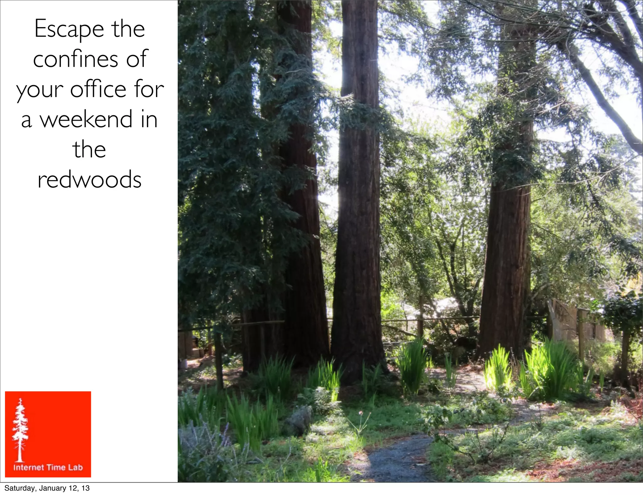 Escape the
    conﬁnes of
   your ofﬁce for
   a weekend in
         the
     redwoods




Saturday, January 12, 13
 