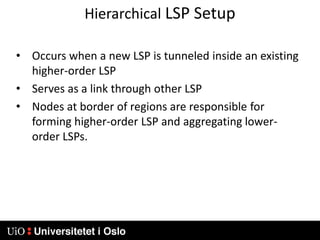 Extensions made to IP router protocols (OSPF and IS-IS)