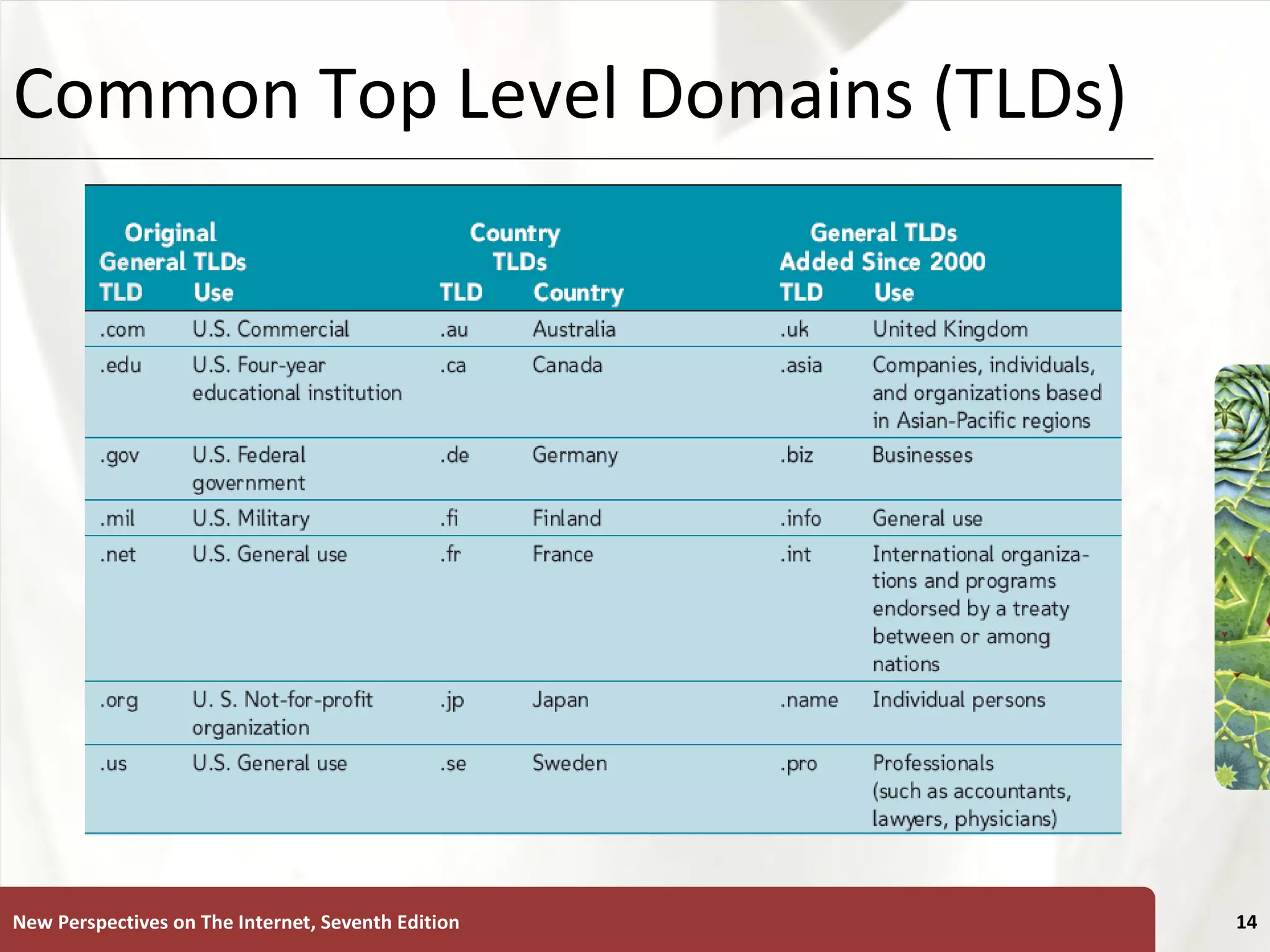 Common Top Level Domains (TLDs) New Perspectives on The Internet, Seventh Edition 