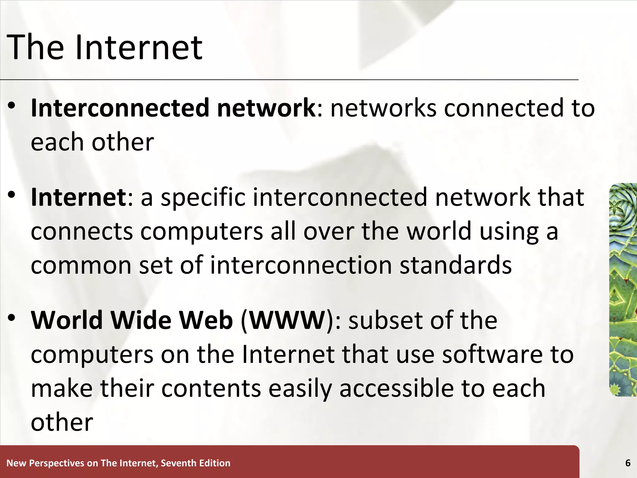 The Internet Interconnected network : networks connected to each other Internet : a specific interconnected network that connects computers all over the world using a common set of interconnection standards World   Wide   Web  ( WWW ): subset of the computers on the Internet that use software to make their contents easily accessible to each other New Perspectives on The Internet, Seventh Edition 
