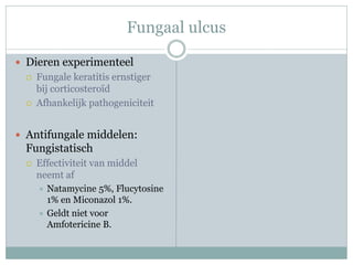 Fungaal ulcus

 Dieren experimenteel
    Fungale keratitis ernstiger
     bij corticosteroïd
    Afhankelijk pathogeniciteit


 Antifungale middelen:
 Fungistatisch
    Effectiviteit van middel
     neemt af
      Natamycine 5%, Flucytosine
       1% en Miconazol 1%.
      Geldt niet voor
       Amfotericine B.
 