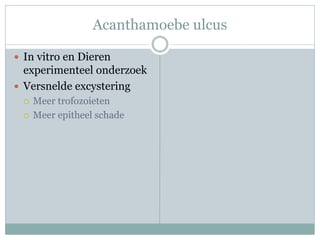 Acanthamoebe ulcus

 In vitro en Dieren
  experimenteel onderzoek
 Versnelde excystering
    Meer trofozoieten
    Meer epitheel schade
 