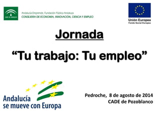 Jornada
“Tu trabajo: Tu empleo”
Pedroche, 8 de agosto de 2014
CADE de Pozoblanco
 