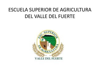 ESCUELA SUPERIOR DE AGRICULTURA
      DEL VALLE DEL FUERTE
 