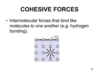 56
COHESIVE FORCES
• Intermolecular forces that bind like
molecules to one another (e.g. hydrogen
bonding).
 