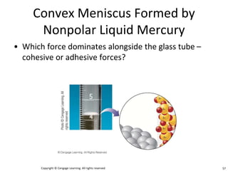 • Which force dominates alongside the glass tube –
cohesive or adhesive forces?
cohesive forces
Convex Meniscus Formed by
Nonpolar Liquid Mercury
Copyright © Cengage Learning. All rights reserved 57
 