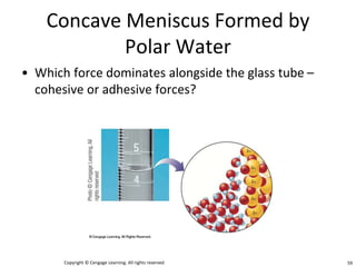 Concave Meniscus Formed by
Polar Water
• Which force dominates alongside the glass tube –
cohesive or adhesive forces?
adhesive forces
Copyright © Cengage Learning. All rights reserved 59
 