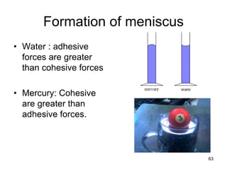 63
Formation of meniscus
• Water : adhesive
forces are greater
than cohesive forces
• Mercury: Cohesive
are greater than
adhesive forces.
 