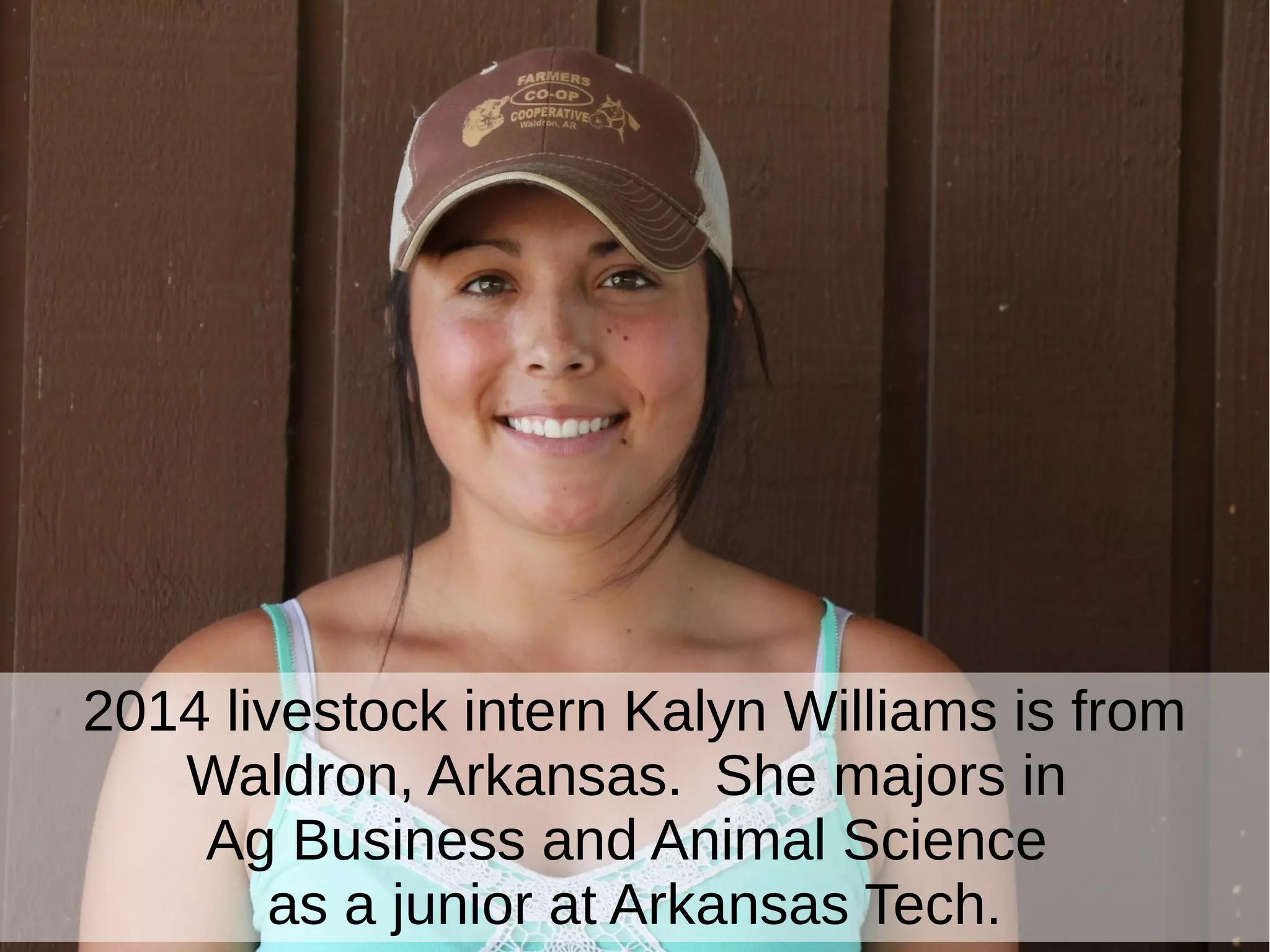 2014 livestock intern Kalyn Williams is from
Waldron, Arkansas. She majors in
Ag Business and Animal Science
as a junior at Arkansas Tech.
