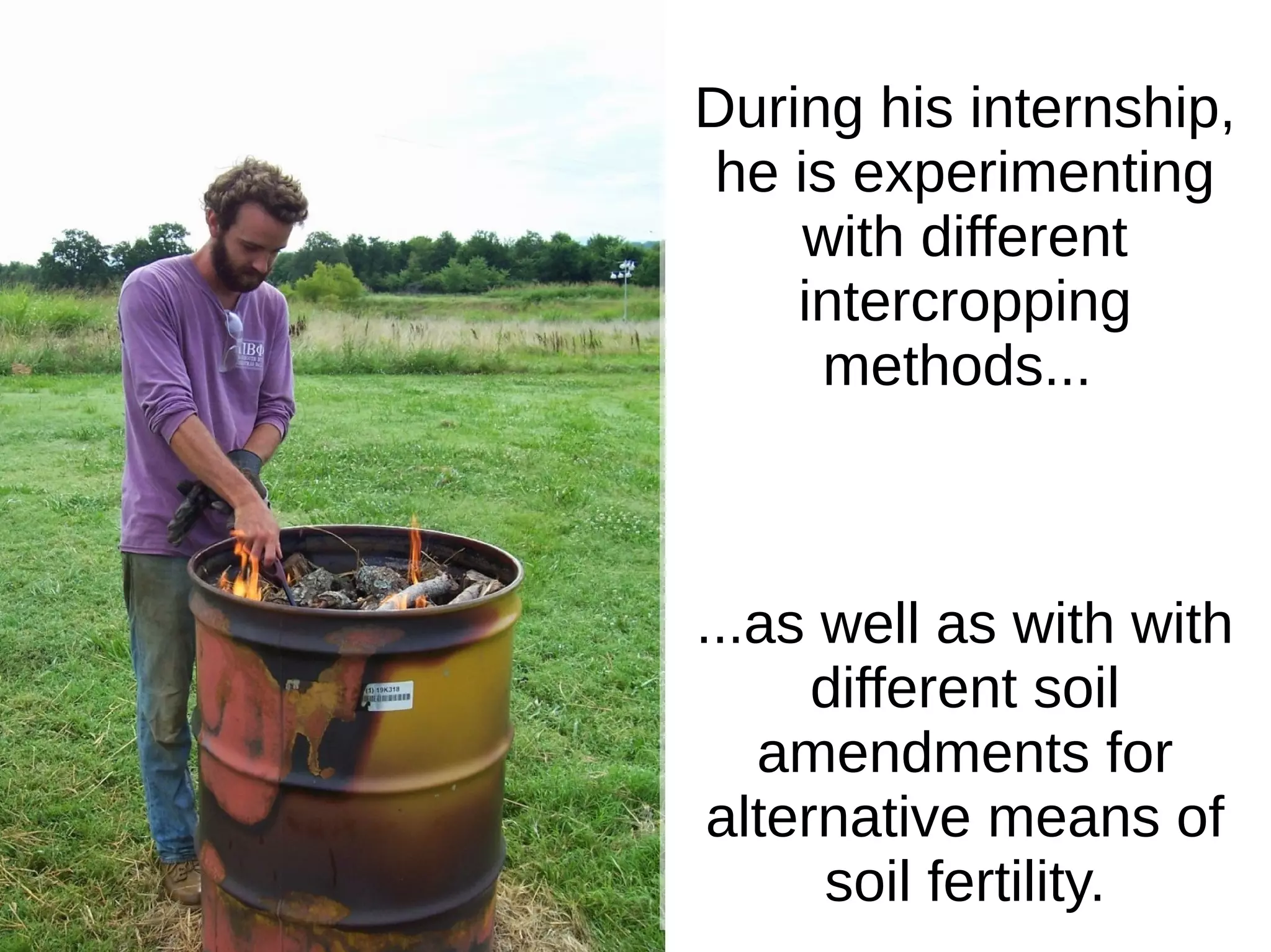 During his internship,
he is experimenting
with different
intercropping
methods...
...as well as with with
different soil
amendments for
alternative means of
soil fertility.