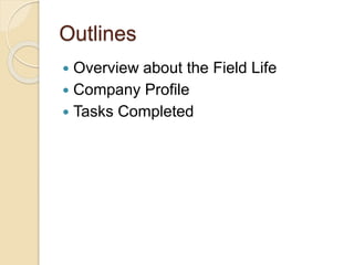 Outlines
 Overview about the Field Life
 Company Profile
 Tasks Completed
 