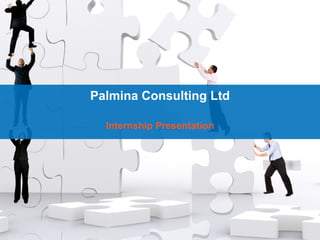 Palmina Consulting Ltd
Internship Presentation

 