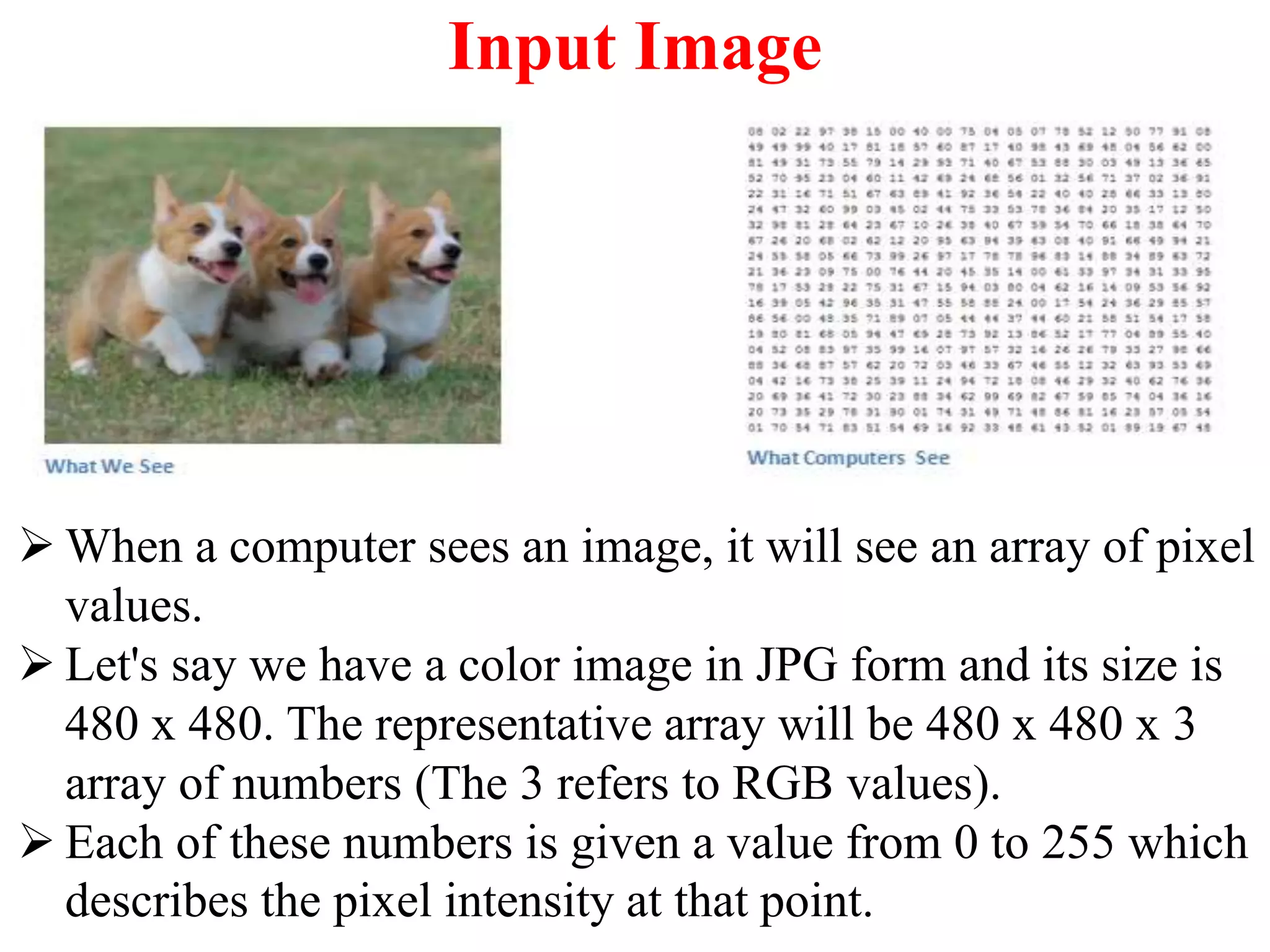 Input Image
 When a computer sees an image, it will see an array of pixel
values.
 Let's say we have a color image in JPG form and its size is
480 x 480. The representative array will be 480 x 480 x 3
array of numbers (The 3 refers to RGB values).
 Each of these numbers is given a value from 0 to 255 which
describes the pixel intensity at that point.
 