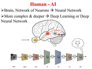 Human - AI
Brain, Network of Neurons  Neural Network
More complex & deeper  Deep Learning or Deep
Neural Network
 