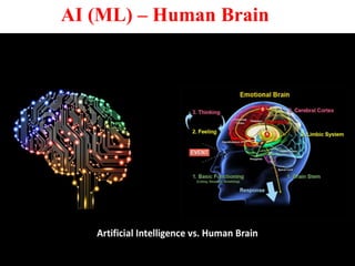 AI (ML) – Human Brain
 