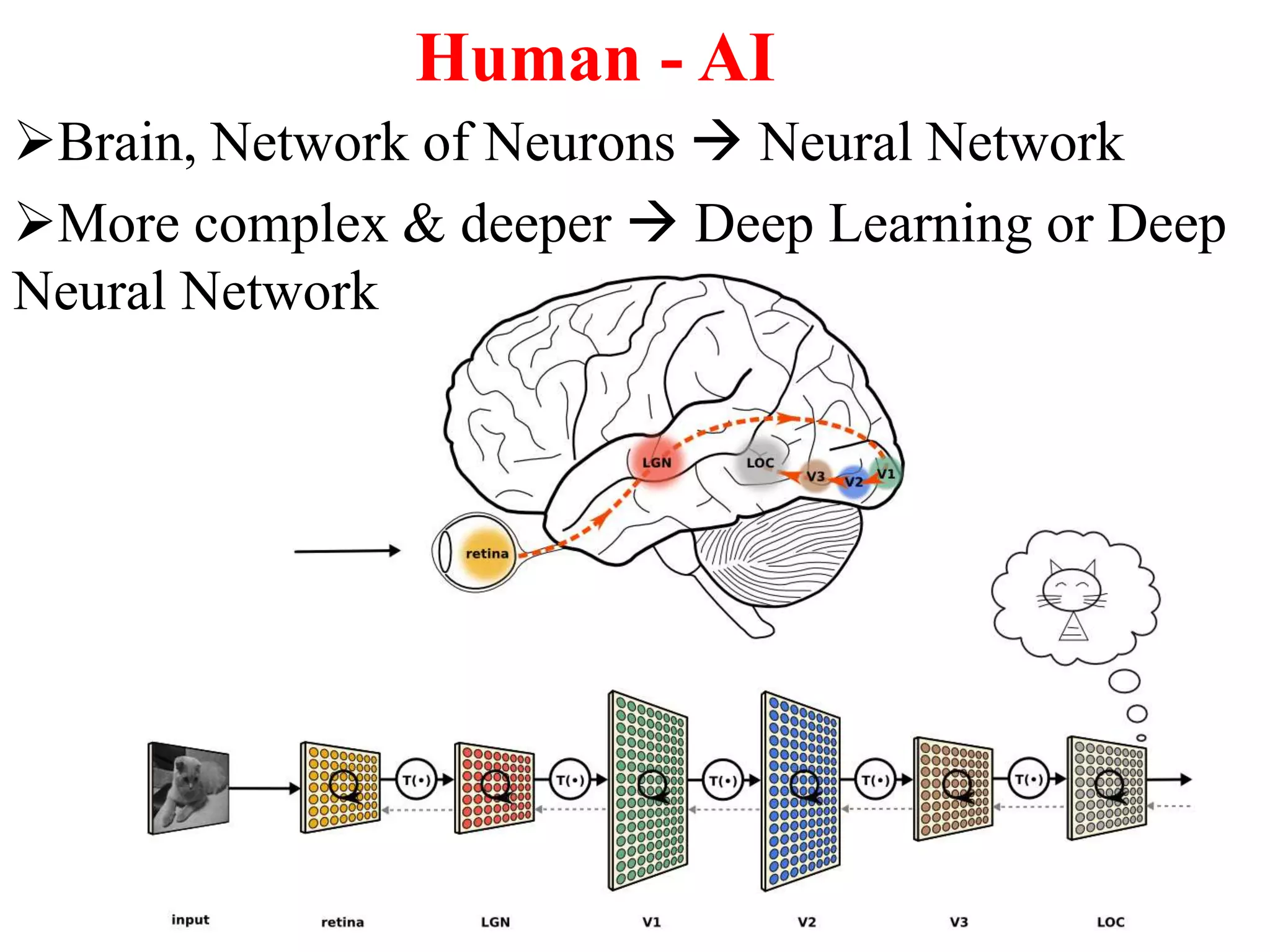 Human - AI
Brain, Network of Neurons  Neural Network
More complex & deeper  Deep Learning or Deep
Neural Network
 