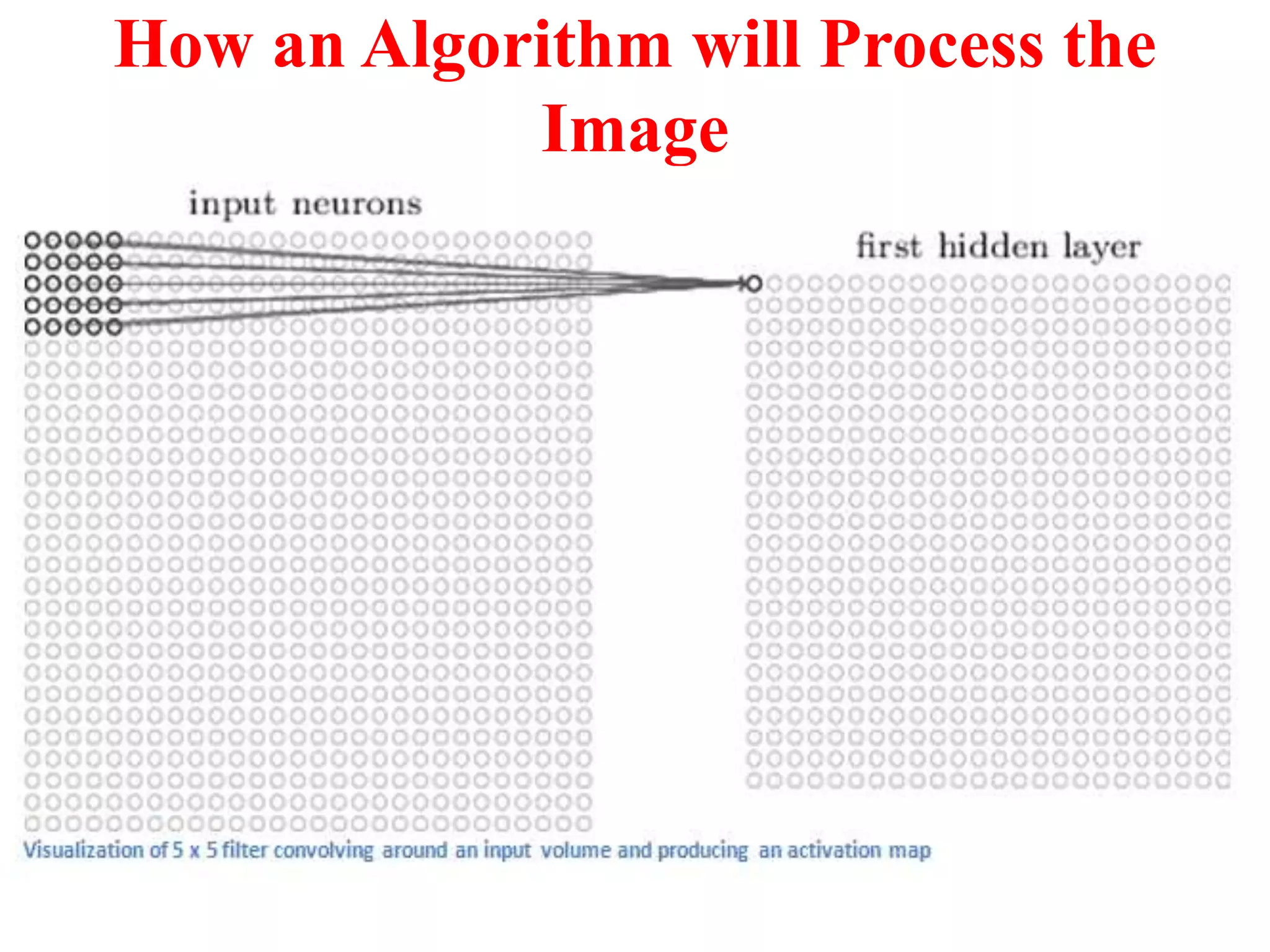 How an Algorithm will Process the
Image
 