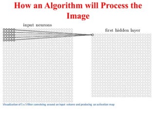 How an Algorithm will Process the
Image
 