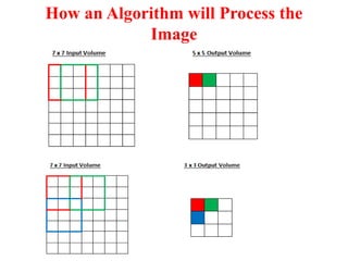 How an Algorithm will Process the
Image
 