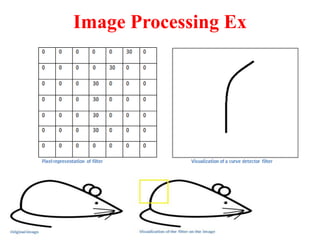 Image Processing Ex
 