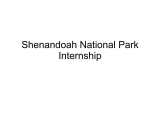 Shenandoah National Park Internship 