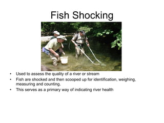 Internship Shenandoah National Park | PPT