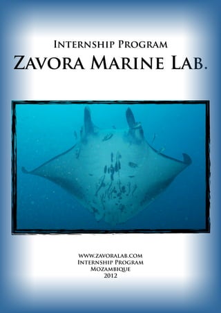 Internship Program

Zavora Marine Lab.




      www.zavoralab.com
      Internship Program
          Mozambique
             2012
 