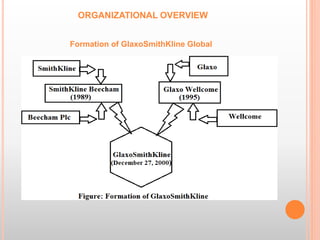 Gsk Overview Internship Defense on GSK BD Ltd. | PPTX