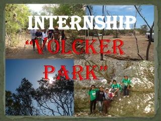 Internship Ials Pptx