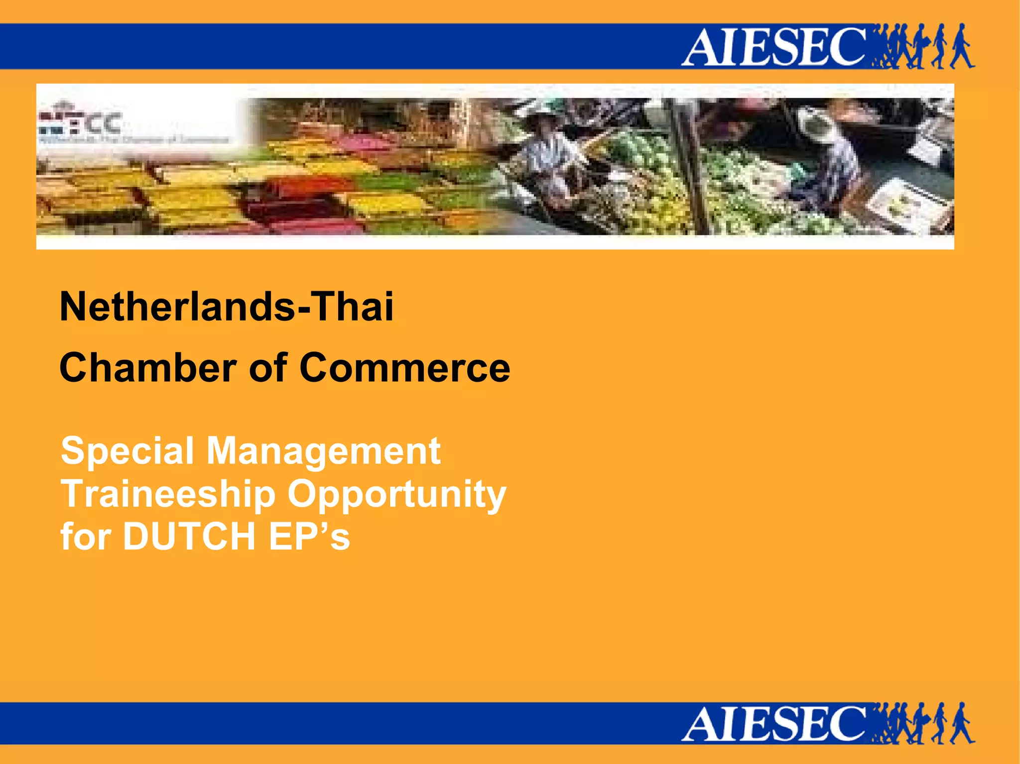 Netherlands-Thai Chamber of Commerce Special Management Traineeship Opportunity for DUTCH EP’s